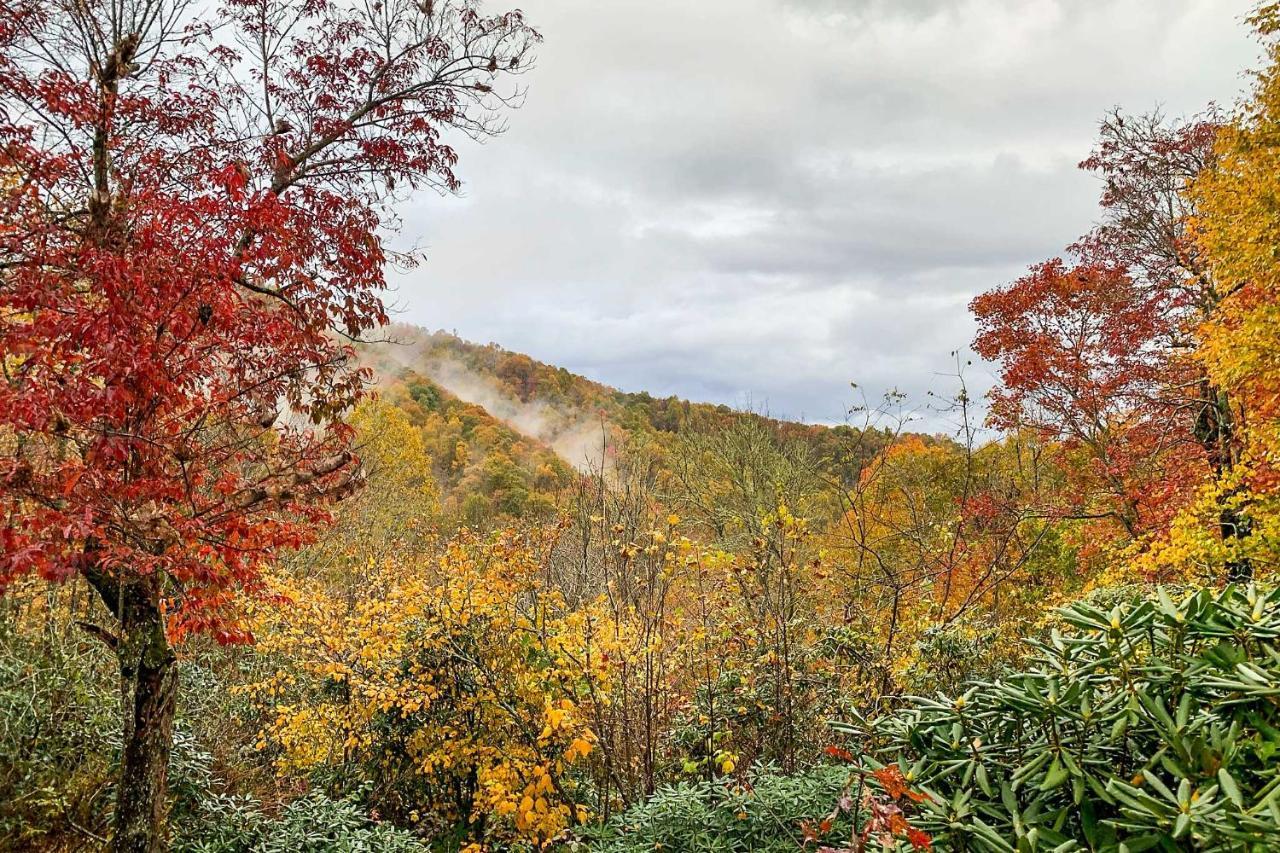 Peaceful Spruce Pine Cabin On 8 Acres With 2 Decks! ภายนอก รูปภาพ